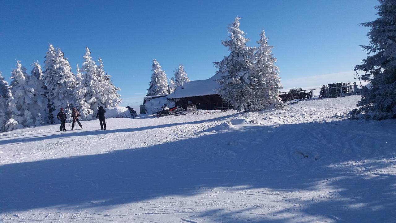 Maja Konaci Kopaonik